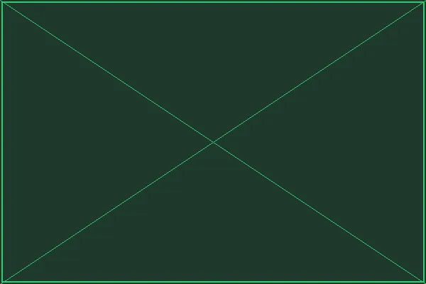 双重锁定交易机制 - 赏金女王